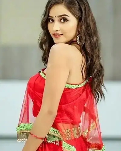 Call Girls Service Bishalgarh